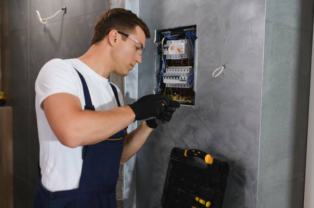 Best Electric Panel Repair  in Sierra Vista, AZ